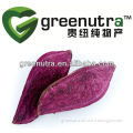 Purple Sweet Potato Extract